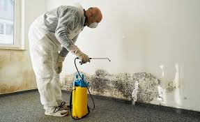 Best Residential Mold Inspection & Testing  in Sound Beach, NY