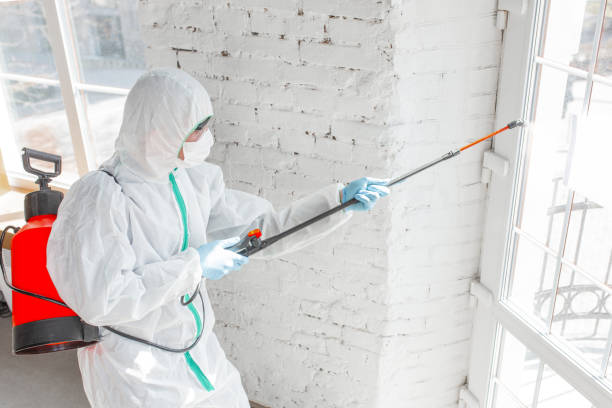 Best Industrial Mold Remediation  in Sound Beach, NY