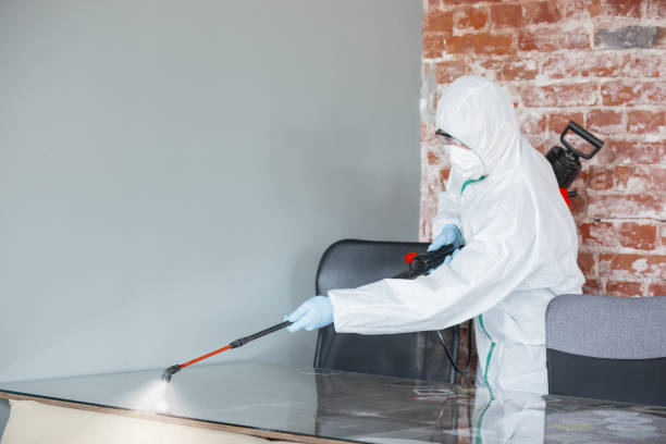 Best Attic Mold Removal  in Sound Beach, NY