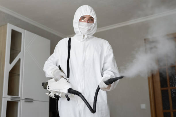 Best Mold Remediation for Healthcare Facilities  in Sound Beach, NY