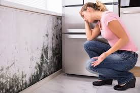 Best Mold Removal for HVAC Installations  in Sound Beach, NY