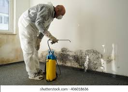 Best Mold Odor Removal Services  in Sound Beach, NY